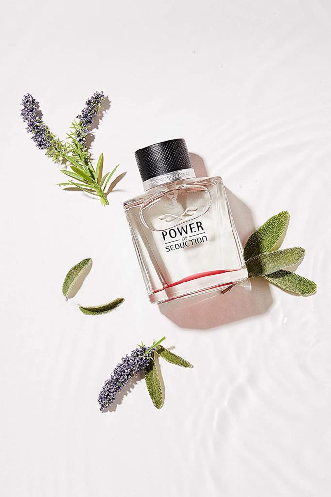 Antonio Banderas Power Of Seduction EDT 100 ml Erkek Parfüm