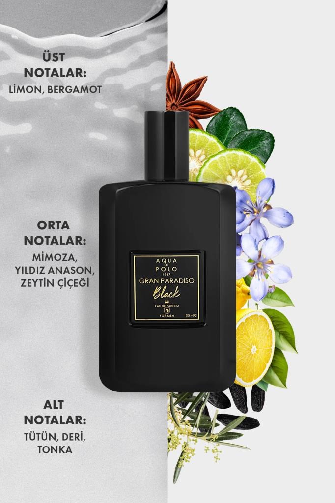 Aqua Di Polo 1987 Gran Paradiso Black EDP 50 ml Erkek Parfüm