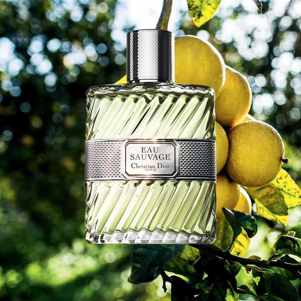 Dior Eau Sauvage EDT 50 ml Erkek Parfüm