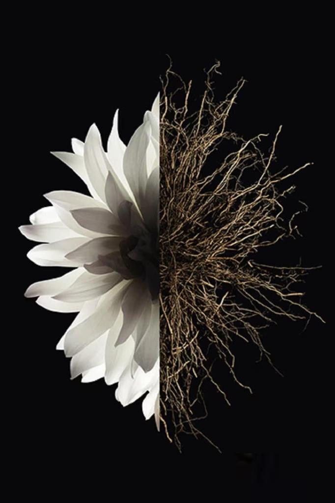 Givenchy L‘Interdit EDP 125 ml Kadın Parfüm