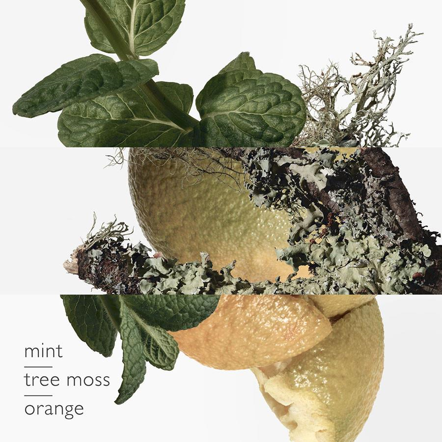 Hermes Eau D‘Orange Verte EDC 100 ml