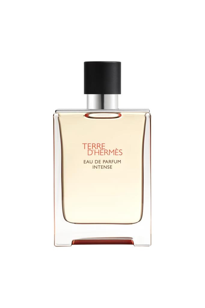 Hermes Terre D‘Hermes EDP Intense 100 ml Erkek Parfüm