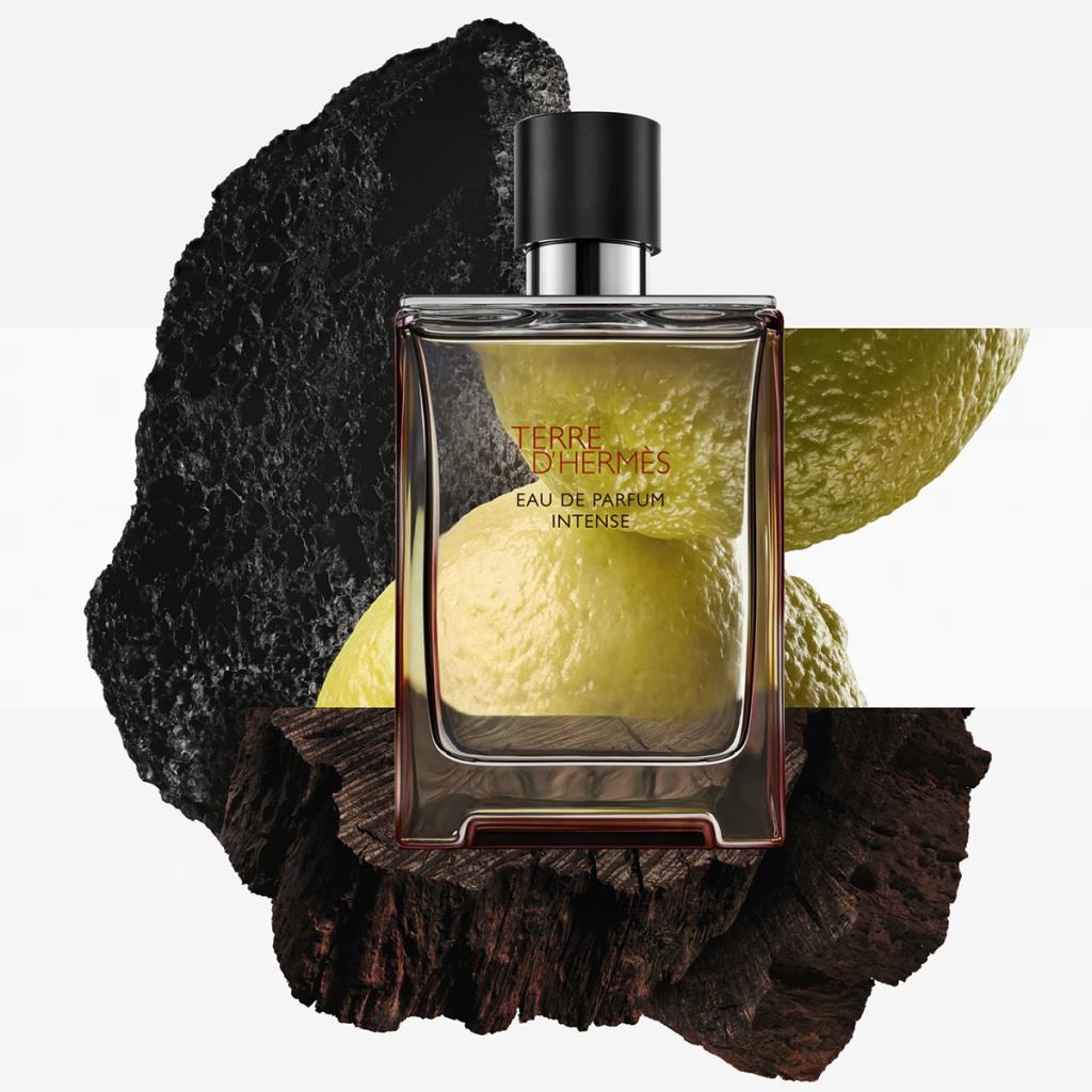 Hermes Terre D‘Hermes EDP Intense 100 ml Erkek Parfüm