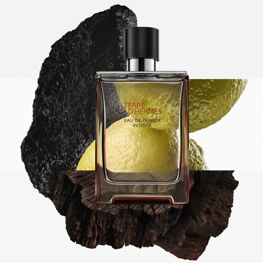 Hermes Terre D‘Hermes EDP Intense 100 ml Erkek Parfüm