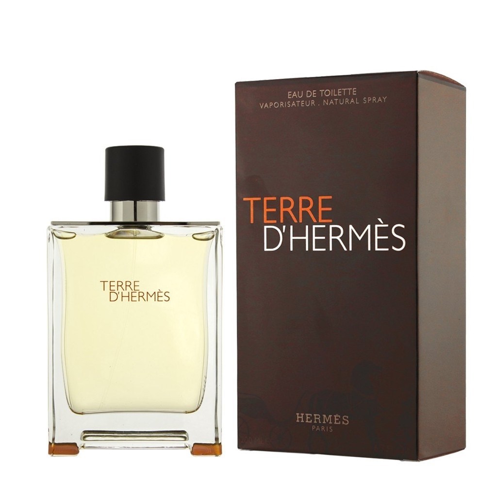 Hermes Terre DHermes EDT 100 ml Erkek Parfüm