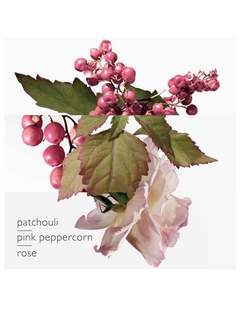 Hermes Twilly Eau Poivree Charming Twilly EDP 85 ml Kadın Parfüm