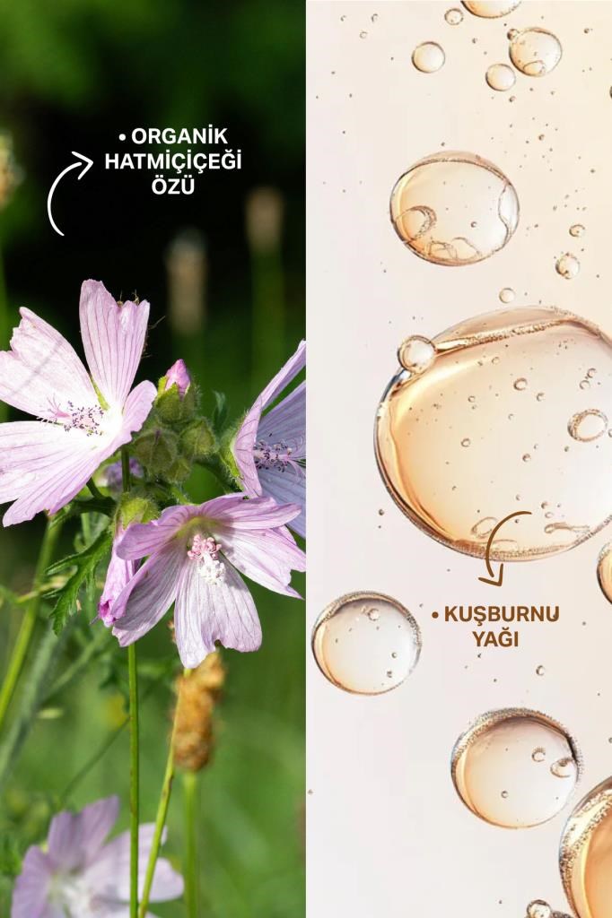 Insight Saç Onarım Kompleksi 50 ml