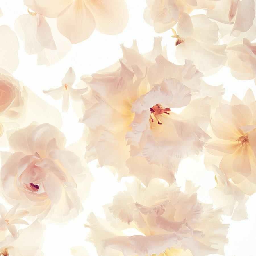 Michael Kors Super Gorgeous Intense EDP 100 ml Kadın Parfüm