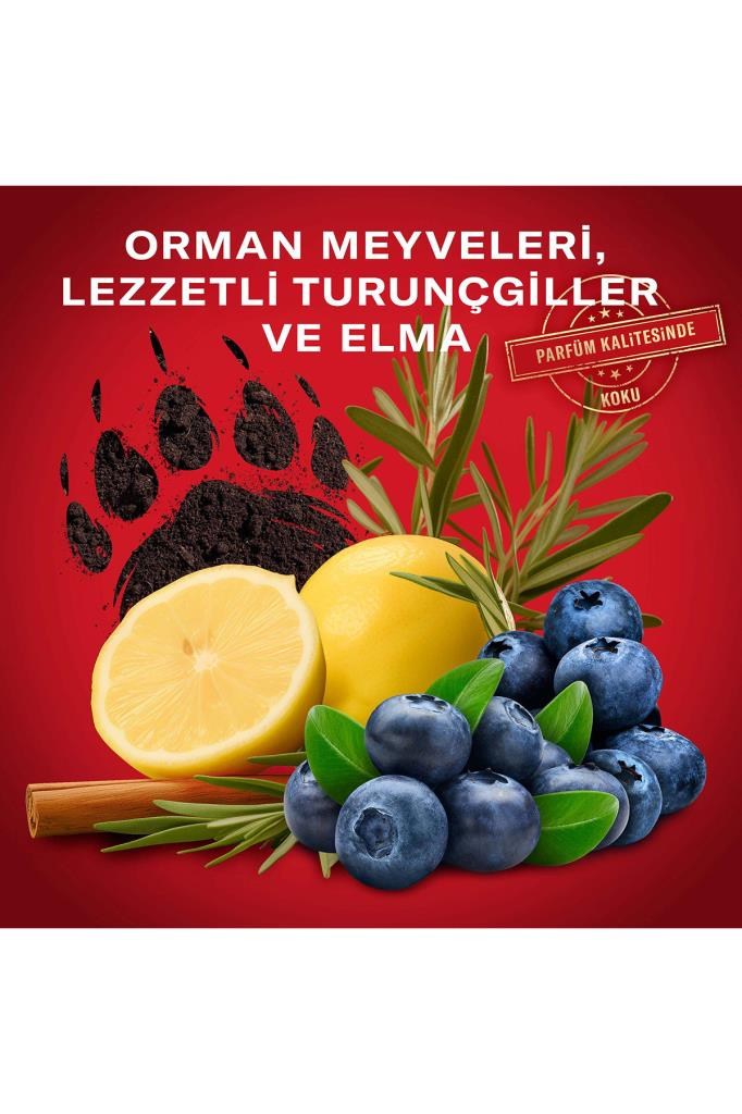 Old Spice Bearglove Erkek Deodorant Spreyi 150 ml