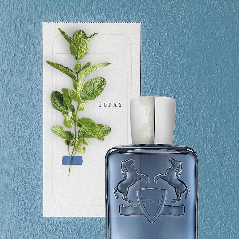 Parfums De Marly Sedley EDP 125 ml