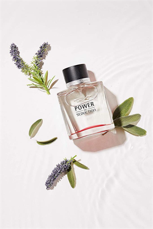 Antonio Banderas Power Of Seduction EDT 100 ml Erkek Parfüm
