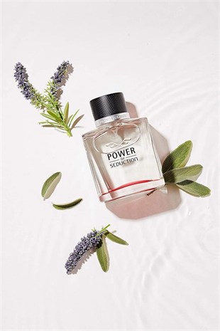 Antonio Banderas Power Of Seduction EDT 100 ml Erkek Parfüm