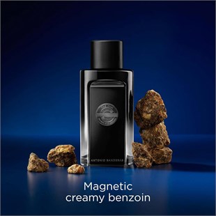 Antonio Banderas The Icon The Perfume EDP 100 ml 2024 Erkek Parfüm