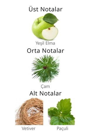 Aqua Di Polo 1987 Gran Paradiso Blue Sport EDP 50 ml Erkek Parfüm