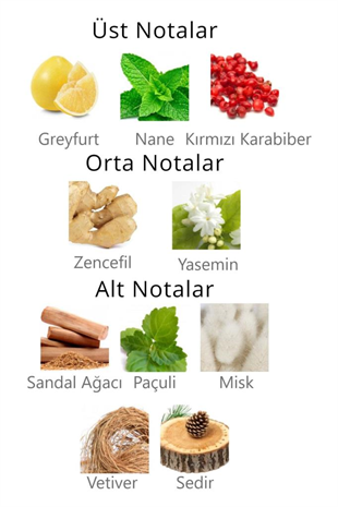 Aqua Di Polo 1987 Gran Paradiso Jungle Sport EDP 50 ml Erkek Parfüm