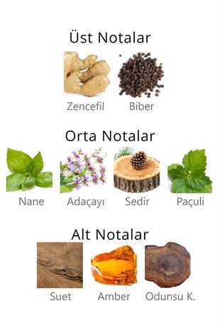 Aqua Di Polo 1987 Gran Paradiso Red EDP 50 ml Erkek Parfum 