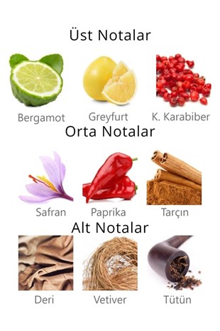 Aqua Di Polo 1987 Gran Paradiso Volcano Sport EDP 50 ml Erkek Parfüm