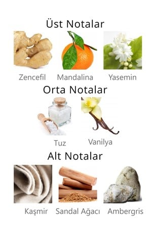 Aqua Di Polo 1987 Omodeo EDP 50 ml Kadın Parfüm 