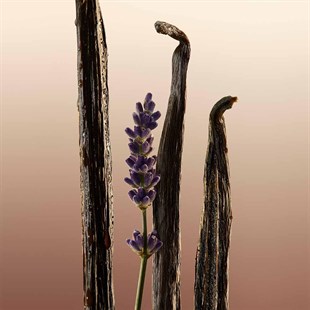 Burberry Goddess EDP 100 ml Kadın Parfüm