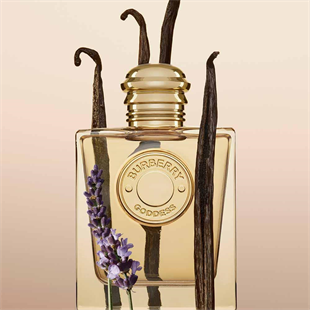 Burberry Goddess EDP 50 ml Kadın Parfüm