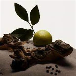 Burberry Hero EDT 100 ml Erkek Parfüm