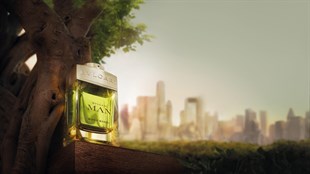 Bvlgari Man Wood Neroli EDP 100 ml Erkek Parfüm