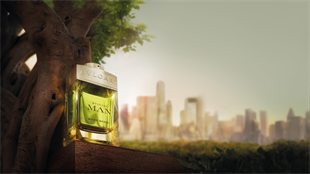Bvlgari Man Wood Neroli EDP 100 ml Erkek Parfüm