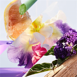 Bvlgari Omnia Amethyste EDT 50 ml Kadın Parfüm