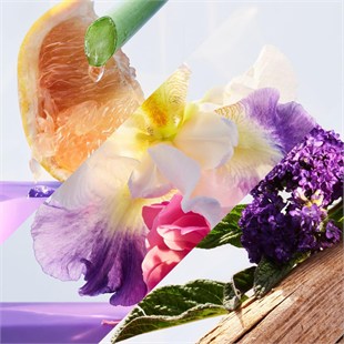 Bvlgari Omnia Amethyste EDT 50 ml Kadın Parfüm
