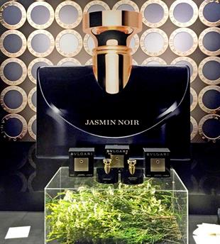 Bvlgari Splendida Jasmin Noir EDP 100 ml Kadın Parfüm