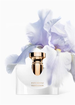 Bvlgari Splendida Patchouli Tentation EDP 100 ml Kadın Parfüm
