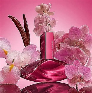 Calvin Klein Euphoria Magnetic Elixir Parfum Intense EDP 100 ml Kadın Parfüm
