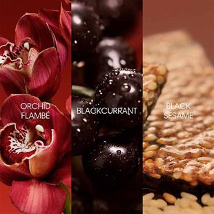 Calvin Klein My Euphoria EDP 100 ml Kadın Parfüm