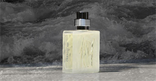 Cerruti 1881 Pour Homme EDT 25 ml Erkek Parfüm
