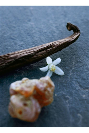 Chloe Nomade Nuit DEgypte EDP 75 ml Kadın Parfüm