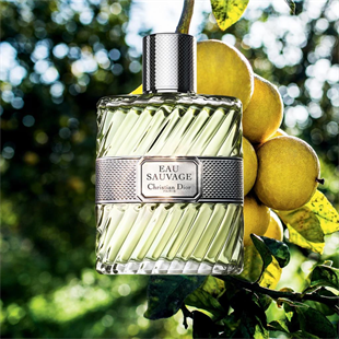 Dior Eau Sauvage EDT 50 ml Erkek Parfüm