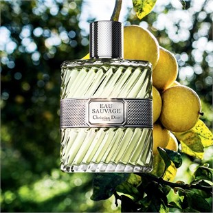 Dior Eau Sauvage EDT 50 ml Erkek Parfüm