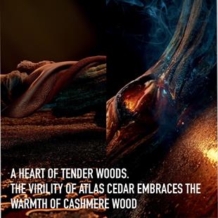 Dior Homme EDT 100 ml Erkek Parfüm