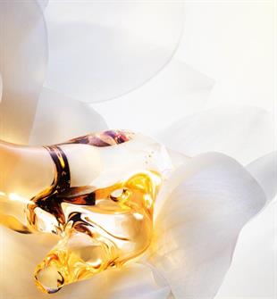 Dior J‘adore Parfum D‘eau Alcohol Free EDP 100 ml Kadın Parfüm