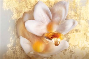 Dior JAdore LAbsolu EDP 75 ml Kadın Parfüm