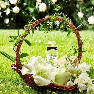 Dolce Gabbana Dolce EDP 75 ml Kadın Parfüm