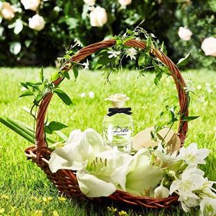 Dolce Gabbana Dolce EDP 75 ml Kadın Parfüm