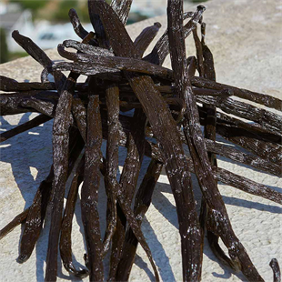 Dolce&Gabbana Devotion EDP 100 ml Kadın Parfüm