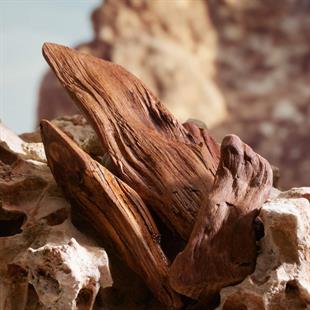 Dolce&Gabbana K Pour Homme Parfum EDP 100 ml Erkek Parfüm