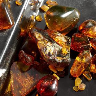 Dolce&Gabbana Q By Gabbana EDP Intense 50 ml Kadın Parfüm