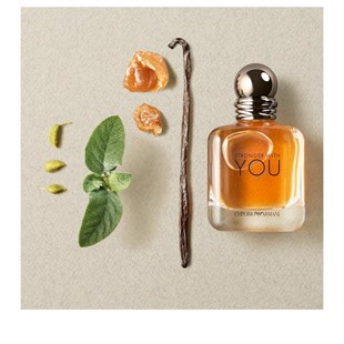 Emporio Armani Stronger With You EDT 100 ml Erkek Parfüm