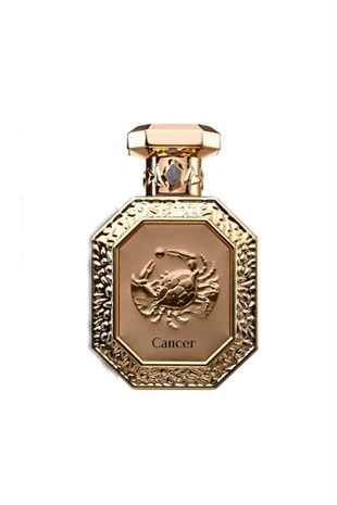 French Avenue Genesis Gemini Extrait EDP 90 ml 