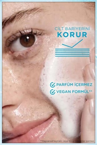 Garnier Saf & Temiz Nemlendiren Yüz Temizleme Jeli 250 ml