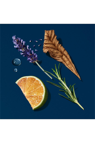 Giorgio Armani Acqua Di Gio Profondo Edp 150 ml Erkek Parfüm Refilli