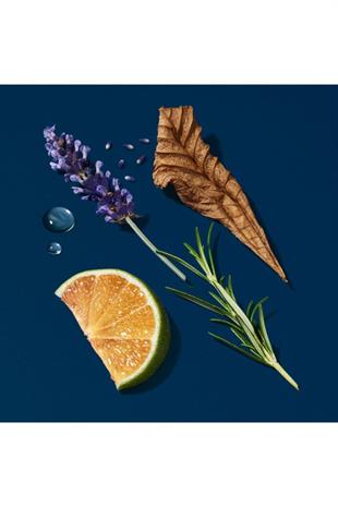 Giorgio Armani Acqua Di Gio Profondo Edp 150 ml Erkek Parfüm Refilli